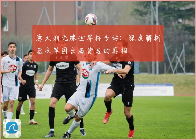 意大利无缘世界杯专访：深度解析蓝衣军团出局背后的真相