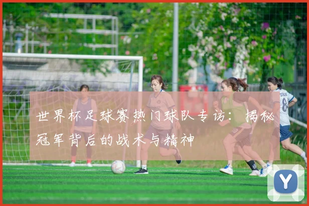 世界杯足球赛热门球队专访：揭秘冠军背后的战术与精神