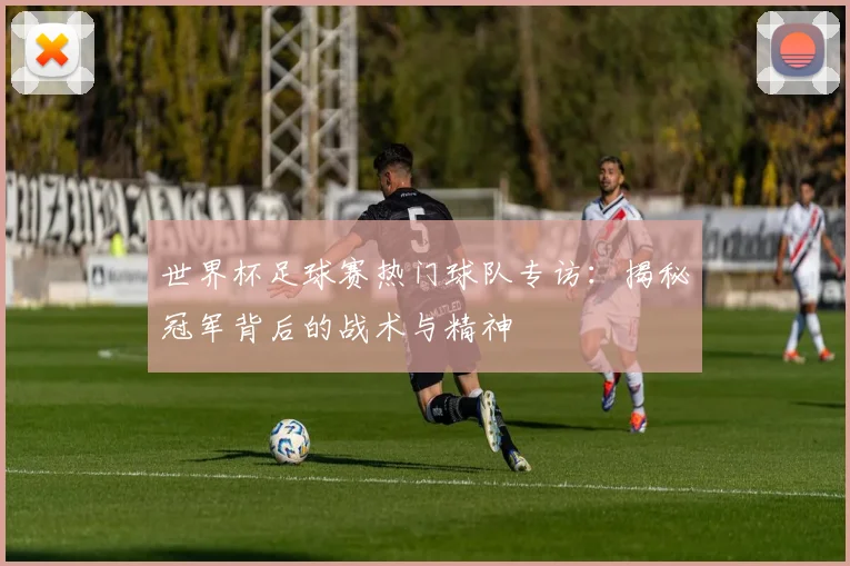世界杯足球赛热门球队专访：揭秘冠军背后的战术与精神
